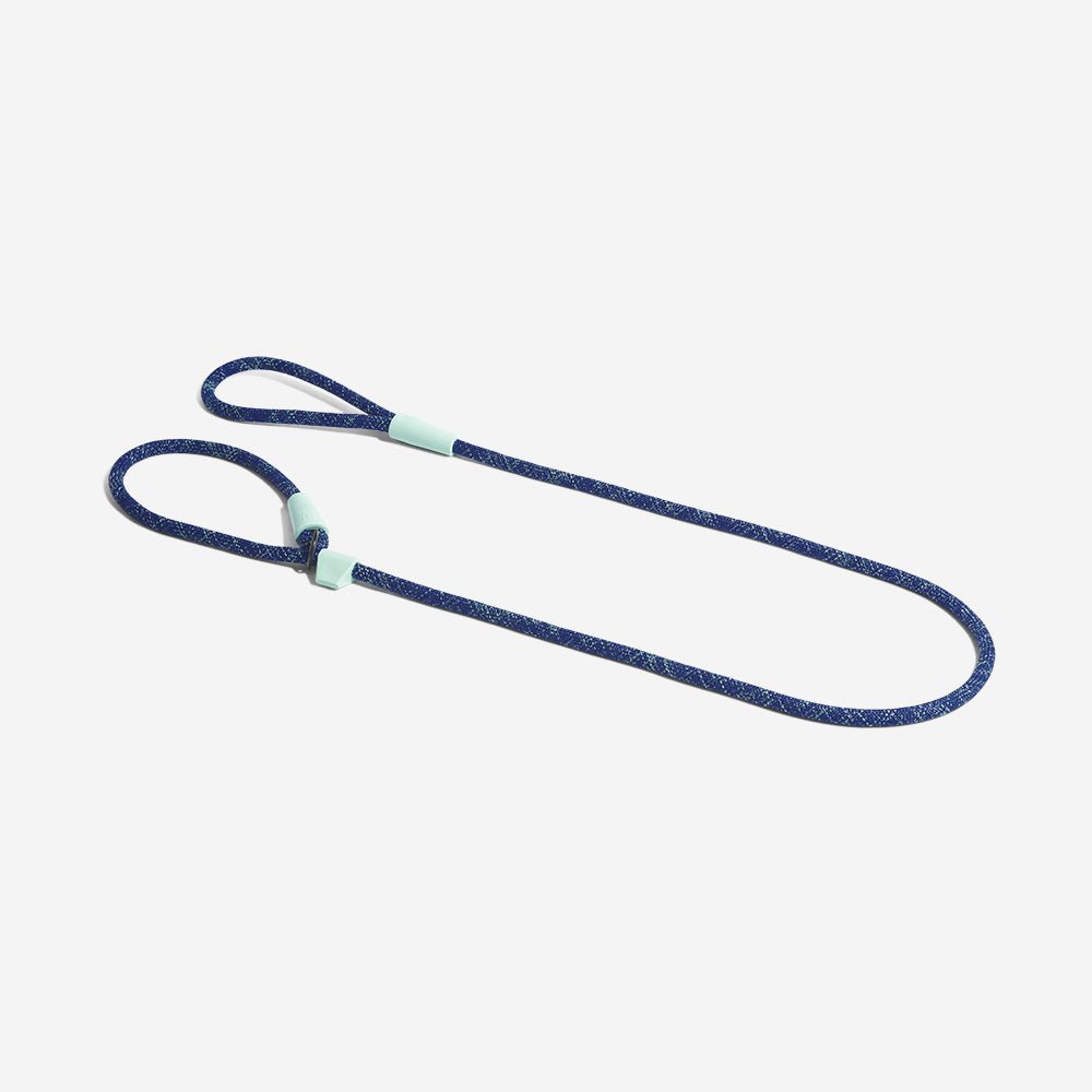 Indigo | Slip-on Leash