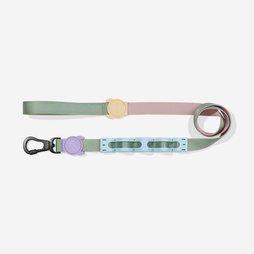 Peach | Ruff Leash 2.0 - Image 3